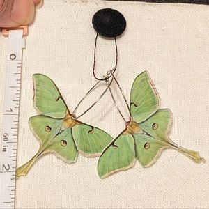 Luna moth earrings NWOT
